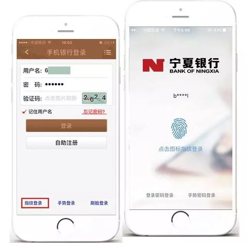 白条取现功能详解，便捷、高效，你的现金应急好帮手
