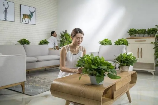 珠海家居花桶品牌商—打造绿色生活，美化居家环境