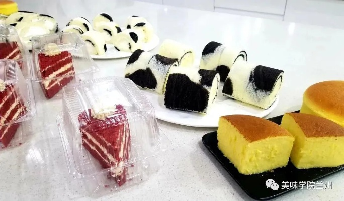 西点分配学习全攻略，从入门到精通的实用指南