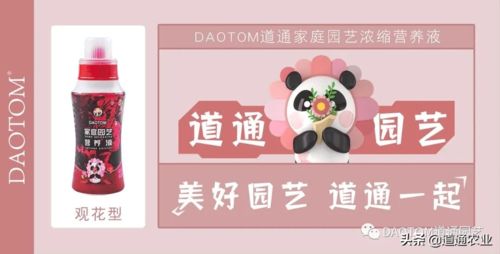 揭秘羊小咩享花卡套出技巧，合法合规的6种方法+避坑指南