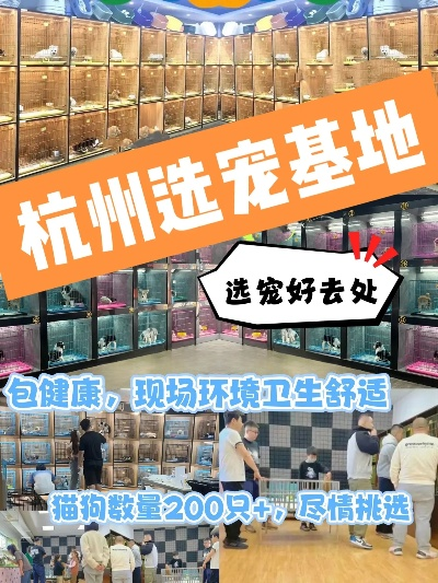 杭州宠物加盟店品牌推荐及案例分析