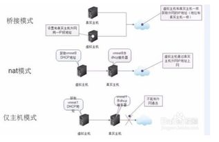 服务器都是物理机吗？物理机与虚拟机的那些事