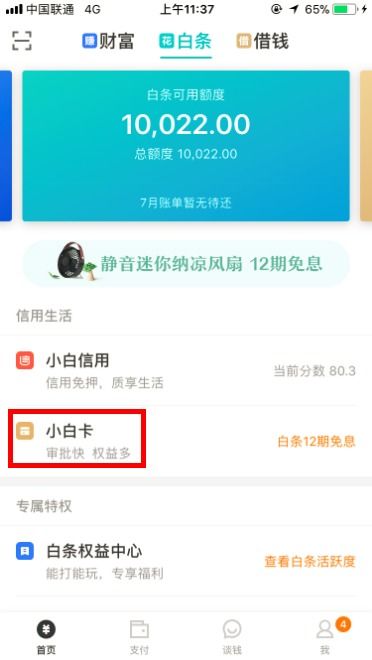 桃多多桃享卡额度如何合理利用？