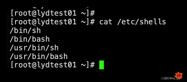 !bin/bash