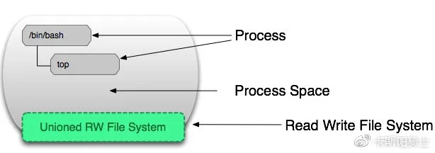 !bin/bash