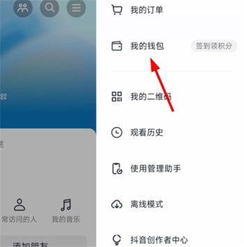 如何高效利用抖音月付额度？