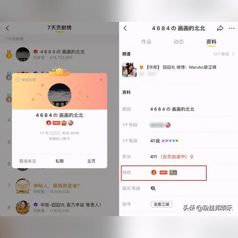 YY直播间找人的全攻略，手把手教你高效锁定目标
