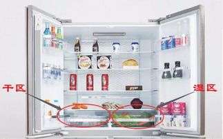 冰箱选购避坑指南，国内外十大品牌横向对比与选购秘籍