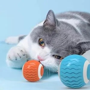 猫咪最爱的玩具品牌大揭秘，从逗猫棒到智能玩具，这些品牌让主子们疯狂打滚！