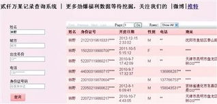 揭秘，如何查询开房记录？这些网址不可信，法律风险需警惕