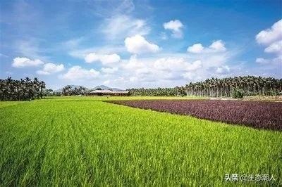 乡村旅游如何玩转一二三产融合？这份实战指南请收好！