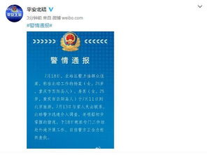 关于去公安局查开房记录，深入了解流程与注意事项
