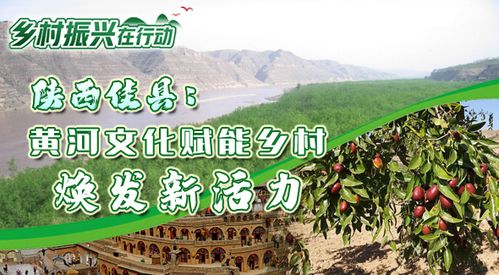 乡村振兴中的文化振兴，让乡土焕发新活力