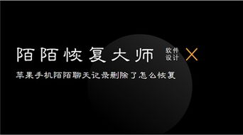 手把手教你查询陌陌聊天记录，方法、注意事项与常见问题全解析