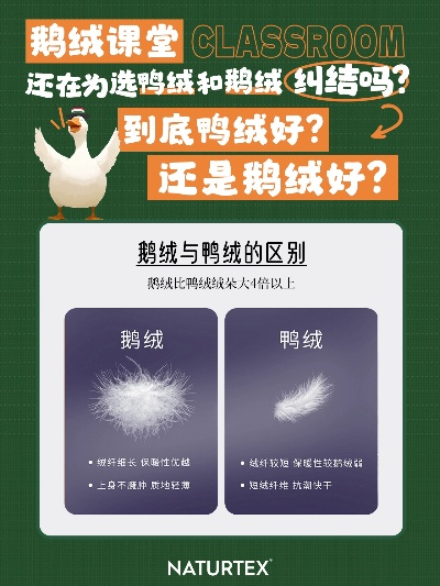 鹅绒+鸭绒被到底值不值？一篇说透你的睡眠选择指南