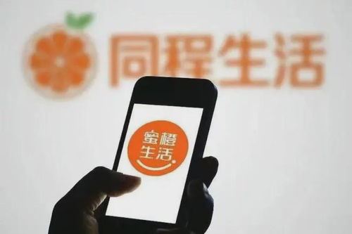 普陀区鸭绒被供应商电话全攻略，手把手教你找到优质货源