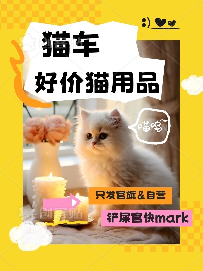 猫咪车品牌全解析，萌宠出行的时尚新选择