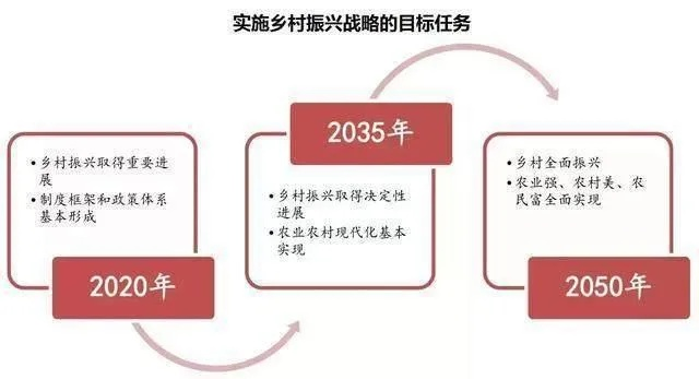 乡村振兴大学生行动指南，从理论到实践的五个关键路径