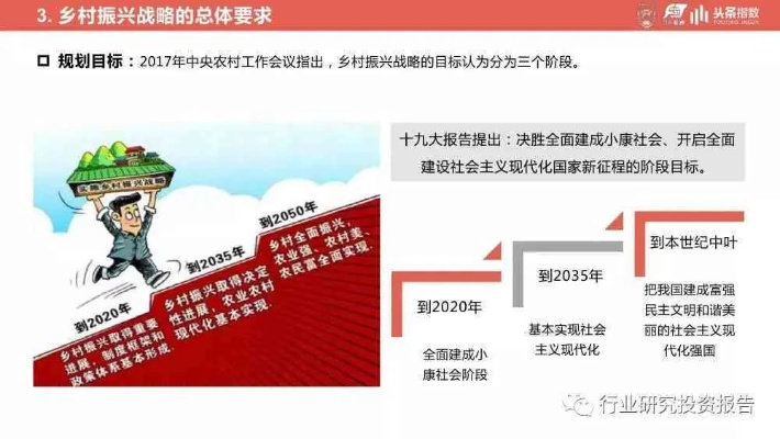 乡村振兴大学生行动指南，从理论到实践的五个关键路径