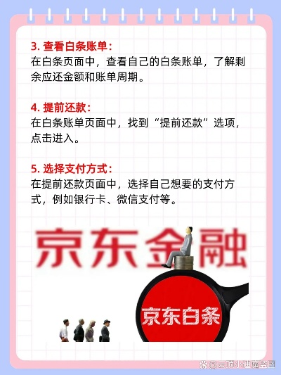 京东白条套出来怎么做代理，全流程详解与案例分享