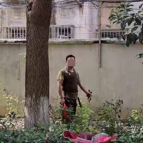 安徽板材十大品牌加盟全攻略，手把手教你选对品牌赚大钱