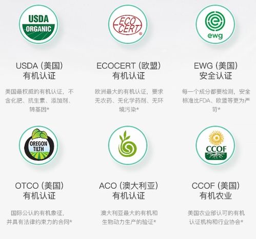 打造母婴护理品牌，从理念到实践的全方位攻略