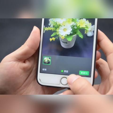 微信聊天记录破解指南，合法使用与隐私保护全解析