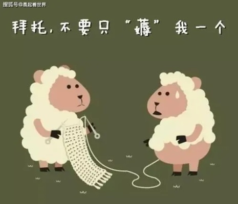 羊小咩便荔卡买苹果套出来的实用指南