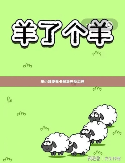 羊小咩便荔卡买苹果套出来的实用指南