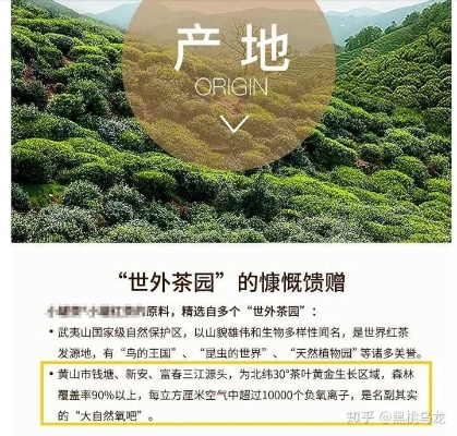代理品牌茶叶是风口还是坑？手把手教你避坑指南