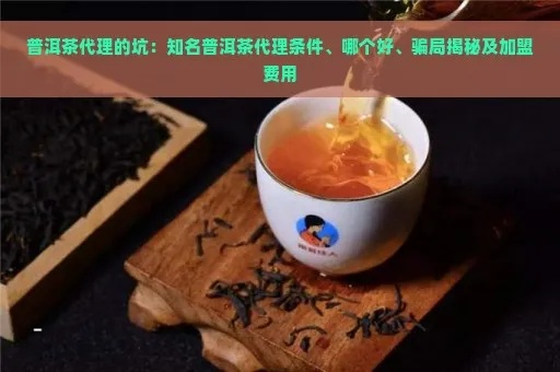 代理品牌茶叶是风口还是坑？手把手教你避坑指南
