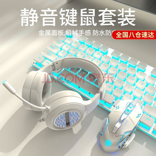 电脑品牌介绍，探索卓越性能与创新设计