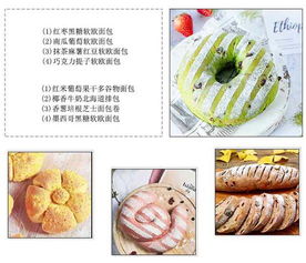 遂宁西点培训全攻略，从零基础到开店创业的实用指南