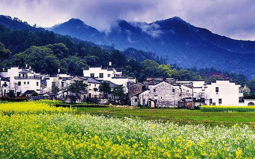 乡村振兴如何实现生态易居？这五个关键点让你家村庄更宜居！