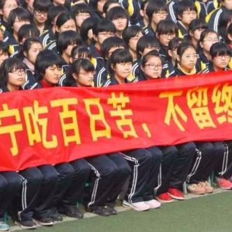 乡村小学校长违规行为举报指南，流程、技巧与真实案例解析