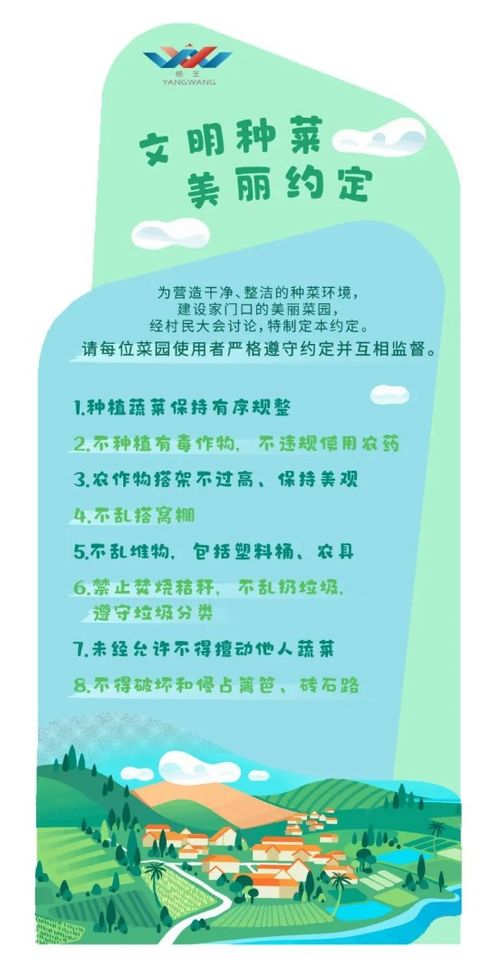 乡村规划师调研报告写作全攻略，从选题到落地，手把手教你搞定