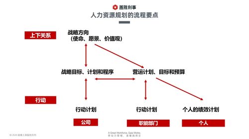 查进住酒店记录，详解流程、要点与实例
