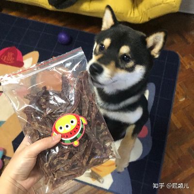上海柴犬训练零食品牌全解析，从挑选到训练效果，一篇说清！