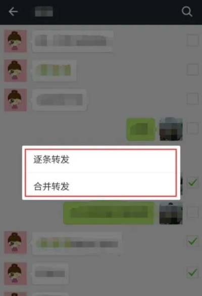 如何微信查看聊天记录？详细步骤与实用技巧