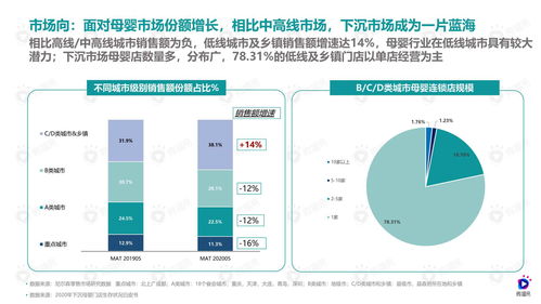 探索母婴品牌dp的全面解析
