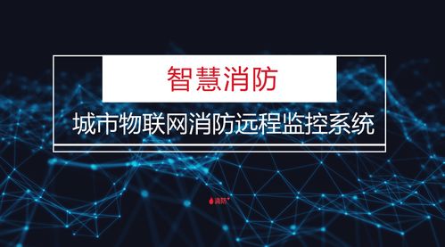 黑客24小时在线接单好技术，深度解析与案例分析