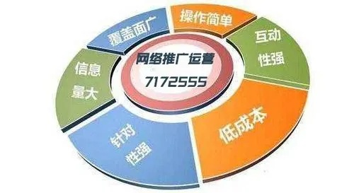手把手教你玩转网站营销广告流量，从策略到实战的完整指南