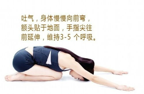 指尖瑜伽玩具品牌全解析，手部放松新潮流