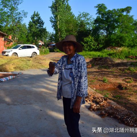 随州美发店加盟品牌推荐