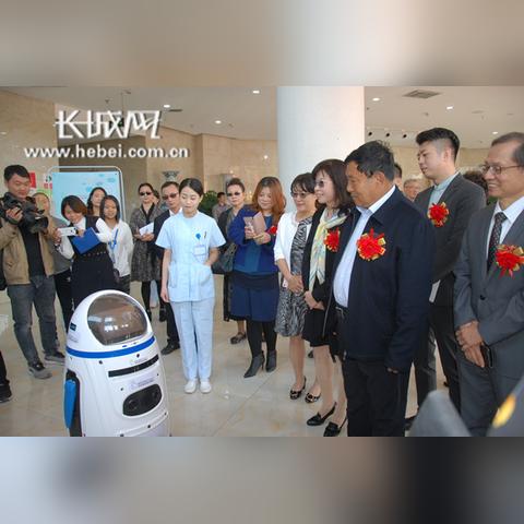 国内品牌母婴市场分析与展望