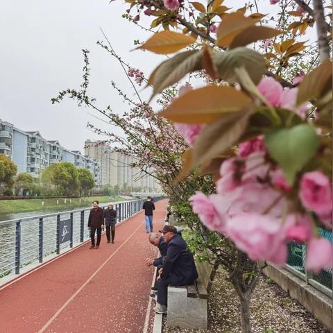 青浦宠物医院装修品牌选择指南