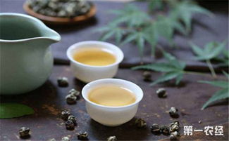 陕西茶香飘四海，揭秘八大地标茶品牌背后的故事