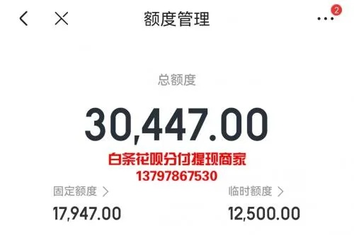 OO白条专属临时额度提现全攻略