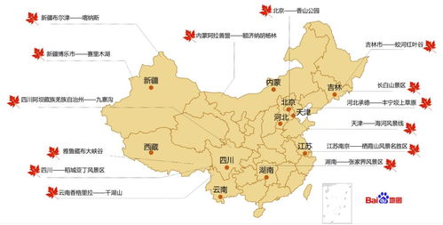 云浮零食地图，从老字号到新宠的味觉之旅