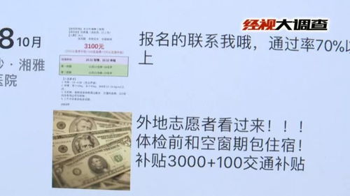 付费查开房记录，真相与风险全解析